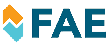 FAE Motorelektrik Katalog für DAF 55