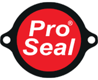 Pro Seal Car detailing