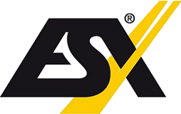 ESX Digital car radio