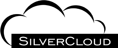 Produsent SilverCloud – reservedeler og produkter til biler
