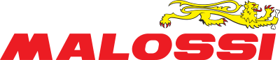 Scarico 3212283 MALOSSI