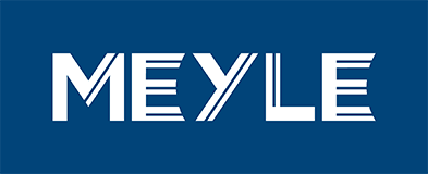 MEYLE Kit componenti, cambio olio-cambio automatico catalogo