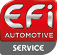 EFI AUTOMOTIVE 155106 Zündspule 022905100N