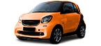 Cambie Correa Poly V usted mismo en SMART FORTWO