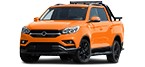 Come sostituire Kit Cinghie Poly-V nel tuo SSANGYONG MUSSO