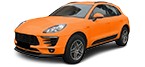 Genuine Belts, chains, rollers for PORSCHE MACAN