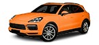 Cambiar PORSCHE CAYENNE usted mismo