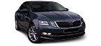 Tartalék alkatrészek SKODA OCTAVIA