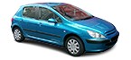 Autoricambi PEUGEOT 307