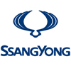 Puoi ordinare online, da AutoDOC, parti di ricambio per il marchio SSANGYONG