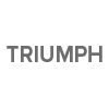 TRIUMPH manual repair