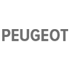 PEUGEOT-Bougies vervangen: werkplaatshandboek