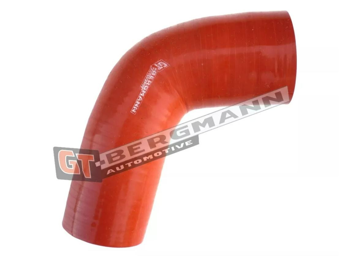GT-Bergmann Tubo flexible de aire de sobrealimentación-0