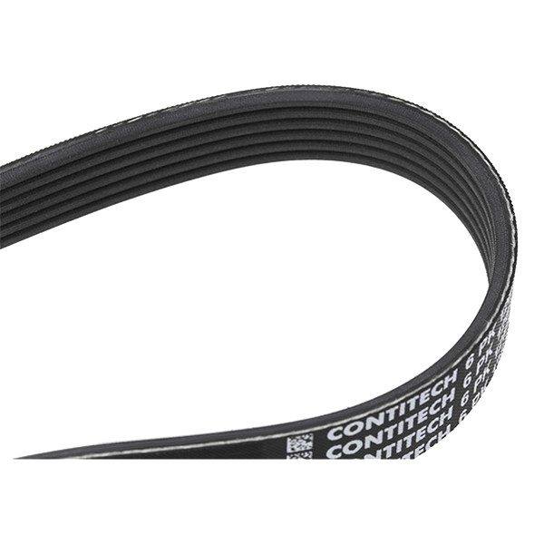 Image of CONTITECH V-ribbed belt VW,AUDI,FORD 6PK1264 03L903137J,6PK1262,6PK1263 Serpentine belt,Auxiliary belt,Poly V-belt,Ribbed belt,Multi V-belt,Poly belt