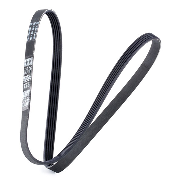 V-Ribbed Belts DAYCO 5PK1250 — Buy now!