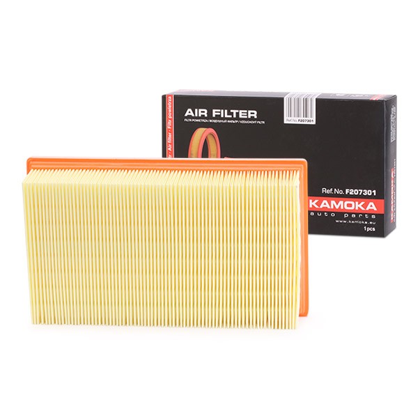 Engine air filter F207301 review