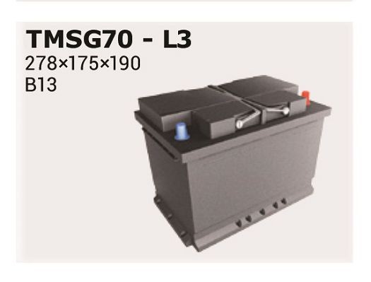 TMSG70 IPSA 570 500 065 Batterie 12V 70Ah 680A B13 Bleiakkumulator