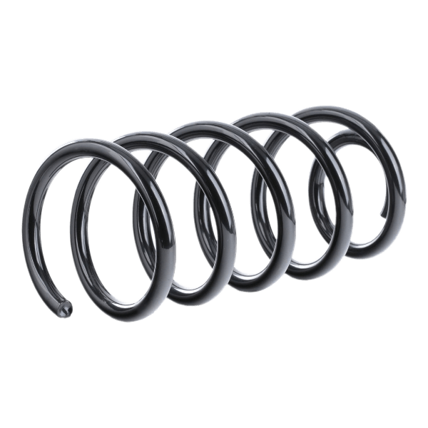 Coil spring