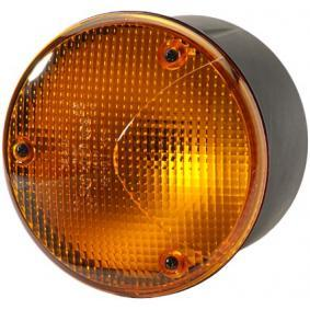 Feu clignotant IVECO Daily 45C17, 45C17 /P 170 CV F1CE3481C