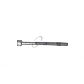 Screw, injection nozzle holder