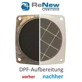 LKW Reinigung Ruß- / Partikelfilter DAF XF 105