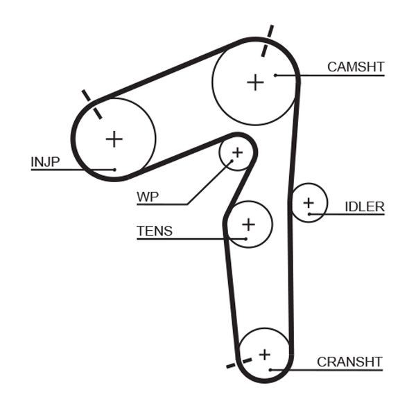 Image of GATES 5462XS Timing Belt
