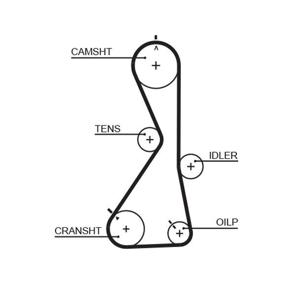 Image of GATES 5481XS Timing Belt