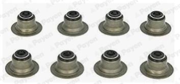 Image of PAYEN HR656 Seal Set, valve stem