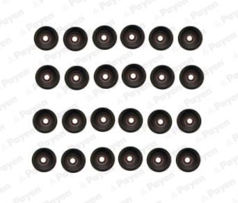 Image of PAYEN HR5107 Seal Set, valve stem