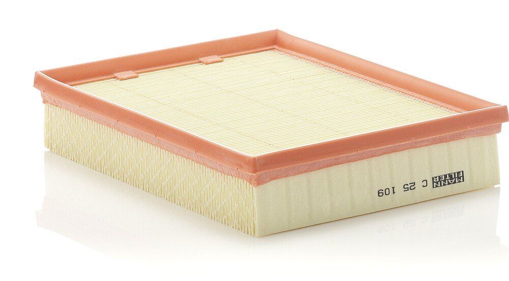 Image of MANN-FILTER C 25 109 Air filter