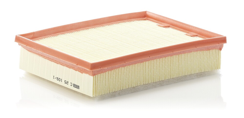 Photos - Car Air Filter Mann FILTER C 25 109/1 Air filter 