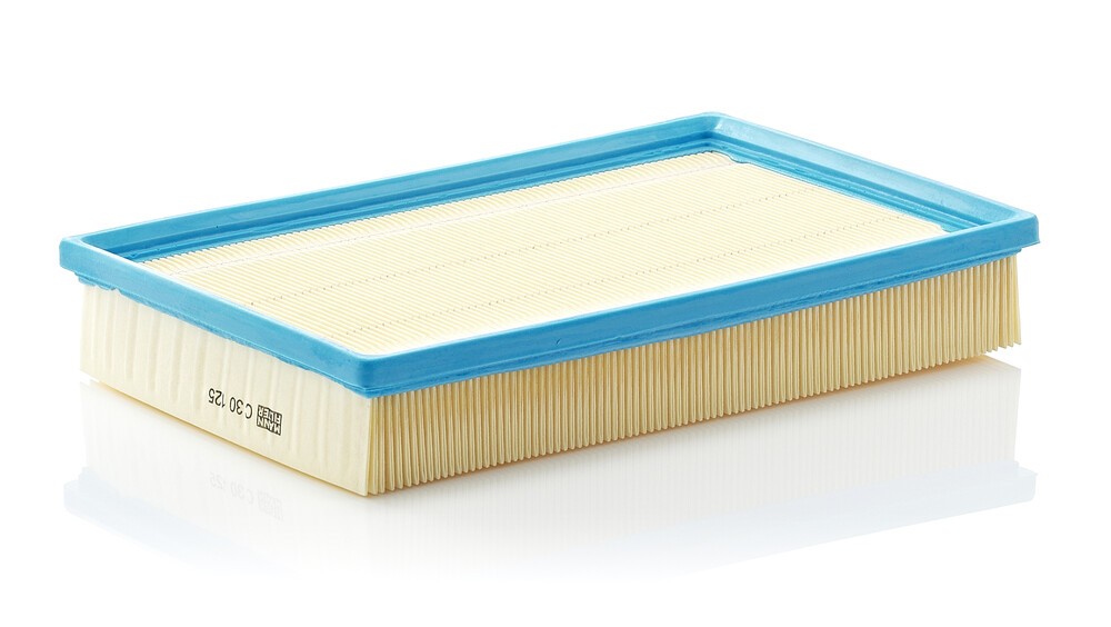 Image of MANN-FILTER C 30 125 Air filter
