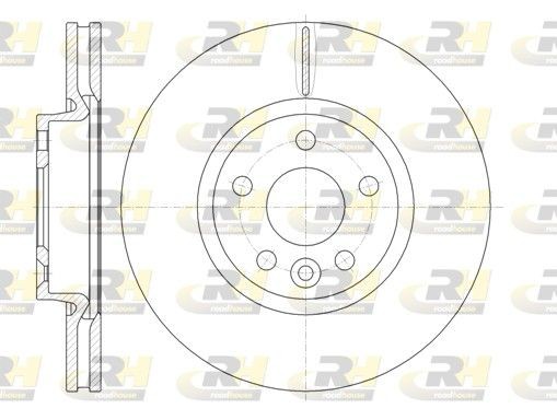 DSX6101910 ROADHOUSE Front Axle, 300x28mm, 5, Vented Ø: 300mm, Num. of holes: 5, Brake Disc Thickness: 28mm Brake rotor 61019.10 buy