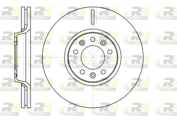 DSX6105410 ROADHOUSE Front Axle, 303,7, 304x28mm, 5, Vented Ø: 303,7, 304mm, Num. of holes: 5, Brake Disc Thickness: 28mm Brake rotor 61054.10 buy