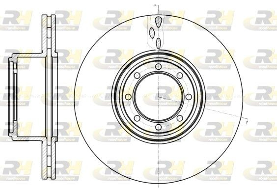 ROADHOUSE 61216.10 Brake disc Rear Axle, 293,7, 294x24mm, 8, Vented