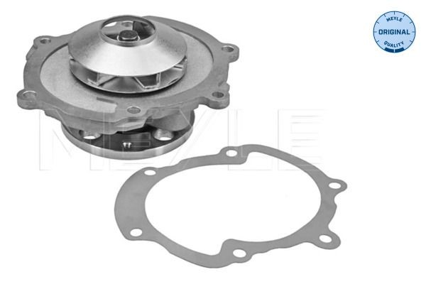613 220 0010 MEYLE Water pumps CHEVROLET with seal, ORIGINAL Quality