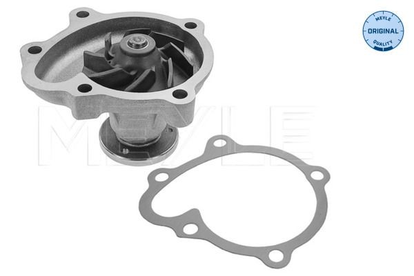 MEYLE 613 220 0012 Water pump CHEVROLET experience and price