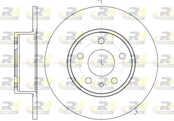 ROADHOUSE 6149.00 Brake disc Rear Axle, 251x10mm, 5, solid