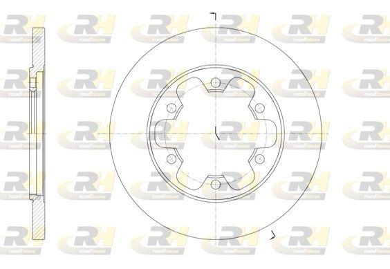 DSX6156900 ROADHOUSE Rear Axle, 308x18mm, 6, solid Ø: 308mm, Num. of holes: 6, Brake Disc Thickness: 18mm Brake rotor 61569.00 buy