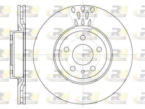 Kia K2500 Brake discs 10065221 ROADHOUSE 6316.10 online buy