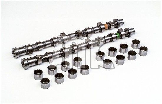 AMC Exhaust Side, with mounting parts, with camshaft(s) Camshaft Kit 647263K buy