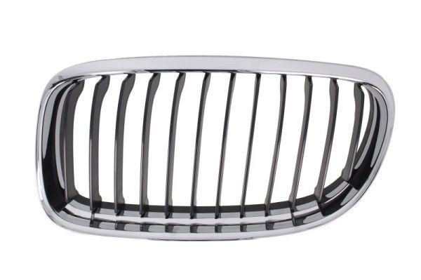 BMW 3 Series Front grill 10077477 BLIC 6502-07-0062991AP online buy