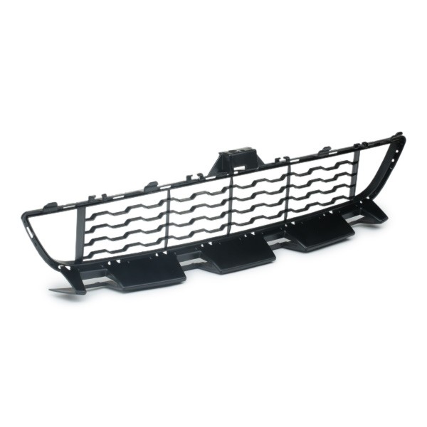 6502070070910P Bumper grill BLIC 6502-07-0070910P review and test