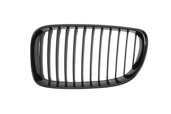 BLIC 6502-07-0085999P BMW 1 Series 2004 Grille assembly