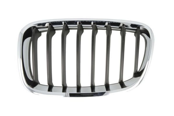 Original BLIC Grille assembly 6502-07-0086995P for BMW 6 Series