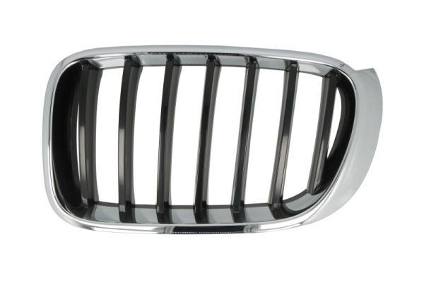 BLIC 6502-07-00939933P BMW X3 2016 Grille assembly