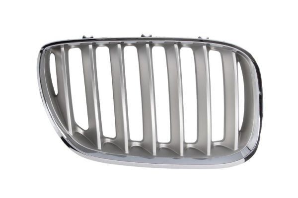 BLIC 6502-07-0095998P BMW X5 2019 Grille assembly