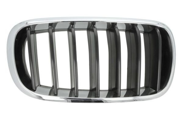 BMW X6 Radiator grille 10077645 BLIC 6502-07-00969922P online buy