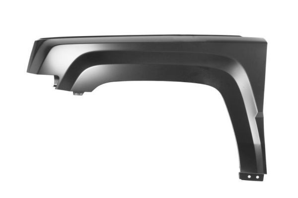 Jeep Wing fender BLIC 6504-04-3213311P at a good price