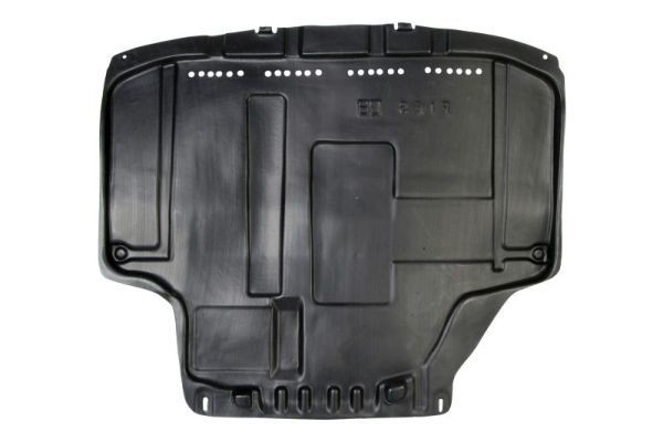 Ford Engine Cover BLIC 6601-02-2565861P at a good price
